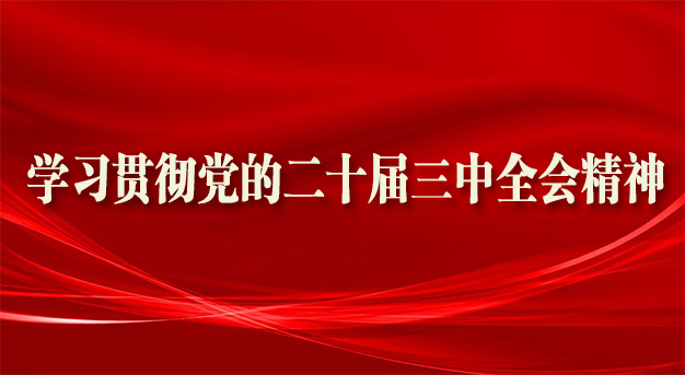 學習貫徹黨的二十屆三中全會精神